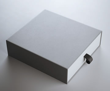 乐鱼体育大巴黎官网