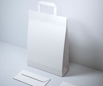 乐鱼体育大巴黎官网